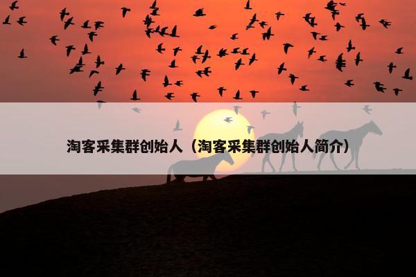 淘客采集群创始人（淘客采集群创始人简介）
