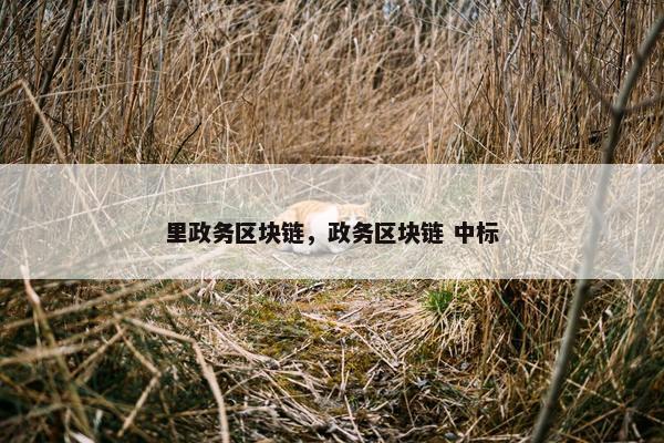 里政务区块链，政务区块链 中标