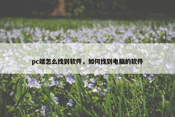pc端怎么找到软件，如何找到电脑的软件