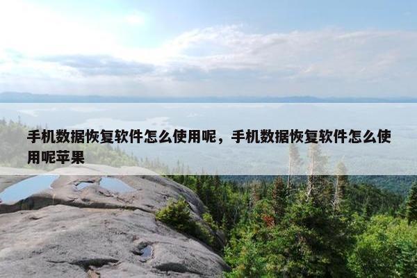 手机数据恢复软件怎么使用呢，手机数据恢复软件怎么使用呢苹果