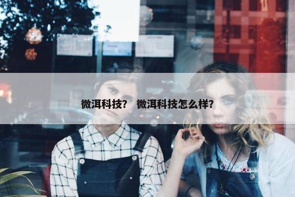 微洱科技？ 微洱科技怎么样？