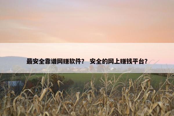 最安全靠谱网赚软件？ 安全的网上赚钱平台？