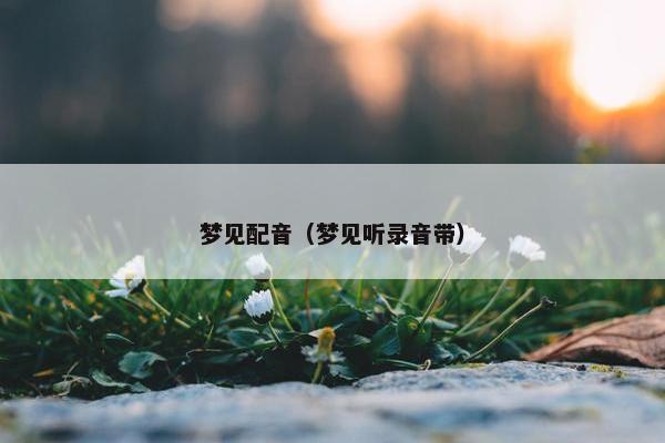 梦见配音（梦见听录音带）
