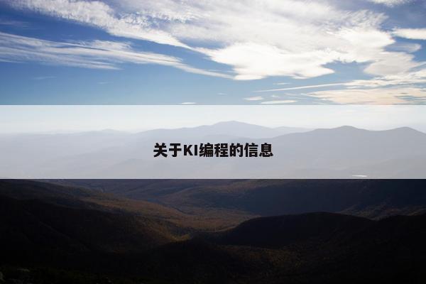 关于KI编程的信息