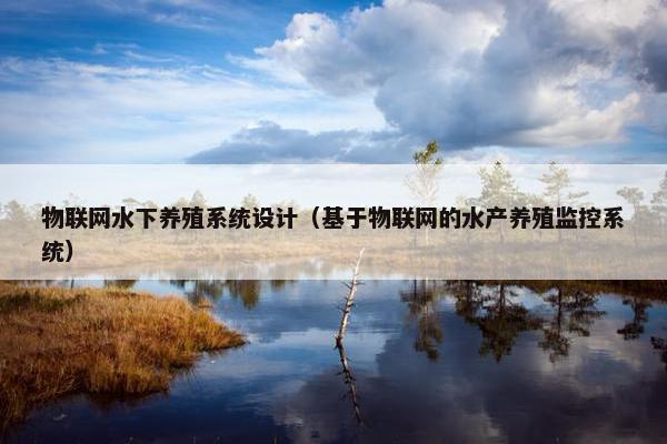 物联网水下养殖系统设计（基于物联网的水产养殖监控系统）