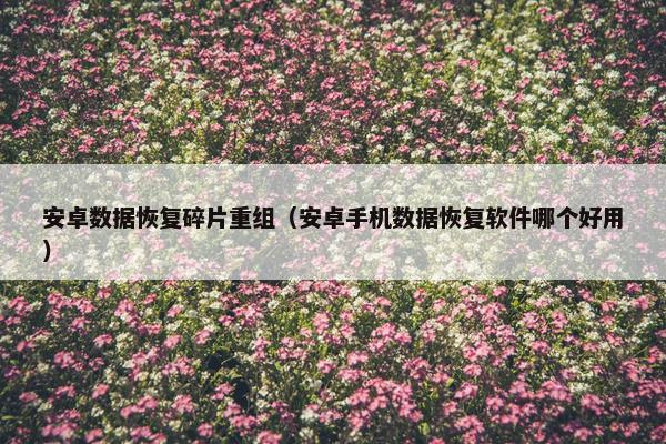 安卓数据恢复碎片重组（安卓手机数据恢复软件哪个好用）