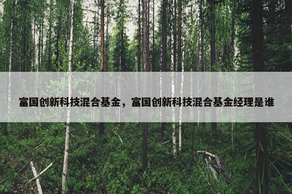 富国创新科技混合基金，富国创新科技混合基金经理是谁
