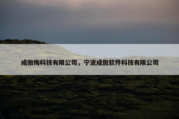 成傲梅科技有限公司，宁波成傲软件科技有限公司