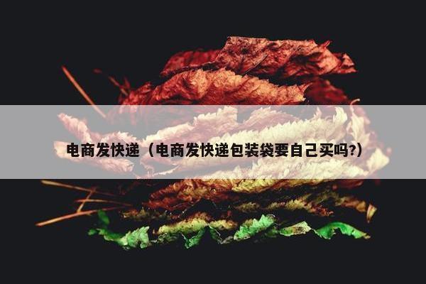 电商发快递（电商发快递包装袋要自己买吗?）