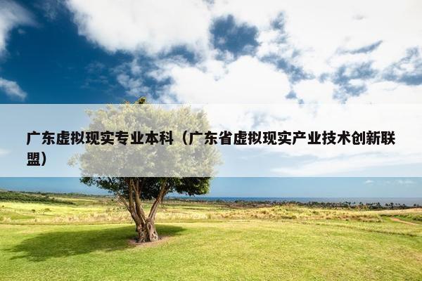 广东虚拟现实专业本科（广东省虚拟现实产业技术创新联盟）