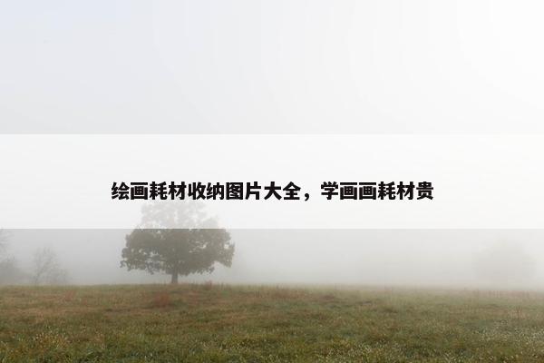 绘画耗材收纳图片大全，学画画耗材贵