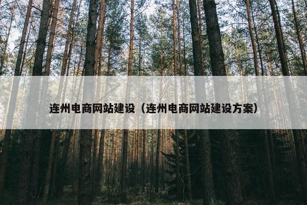 连州电商网站建设（连州电商网站建设方案）