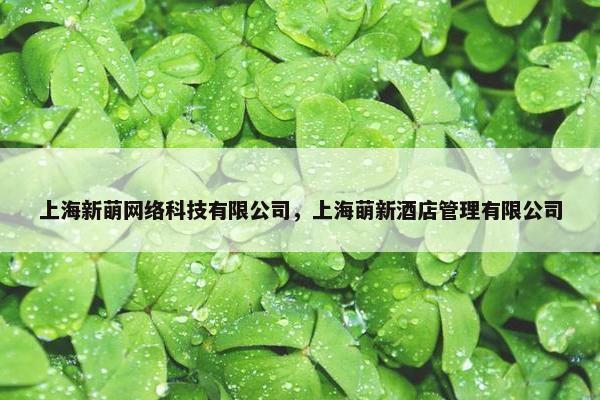 上海新萌网络科技有限公司，上海萌新酒店管理有限公司