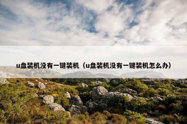 u盘装机没有一键装机（u盘装机没有一键装机怎么办）