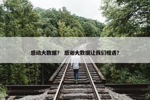 感动大数据？ 感谢大数据让我们相遇？
