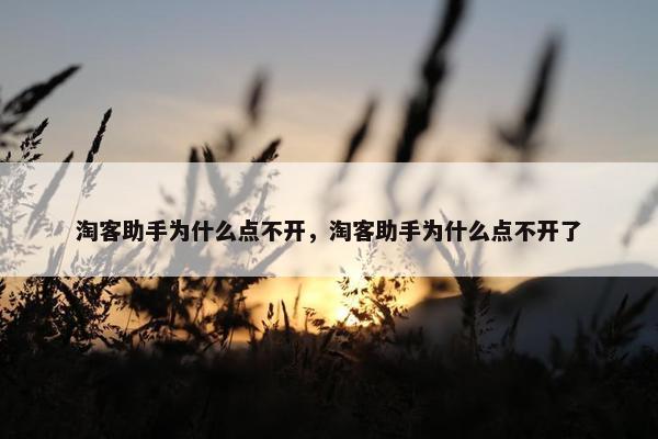 淘客助手为什么点不开，淘客助手为什么点不开了