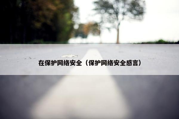 在保护网络安全（保护网络安全感言）