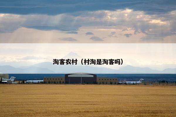 淘客农村（村淘是淘客吗）