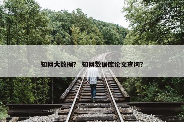 知网大数据？ 知网数据库论文查询？