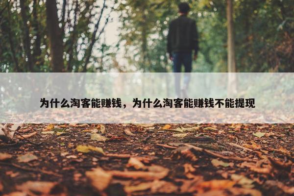 为什么淘客能赚钱，为什么淘客能赚钱不能提现