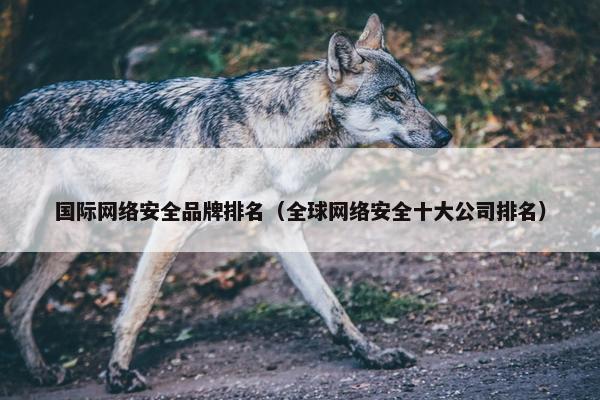 国际网络安全品牌排名（全球网络安全十大公司排名）
