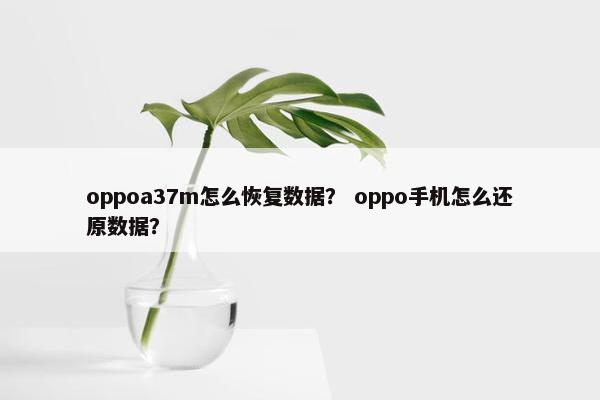 oppoa37m怎么恢复数据？ oppo手机怎么还原数据？