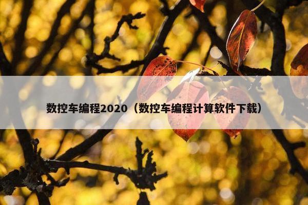 数控车编程2020（数控车编程计算软件下载）