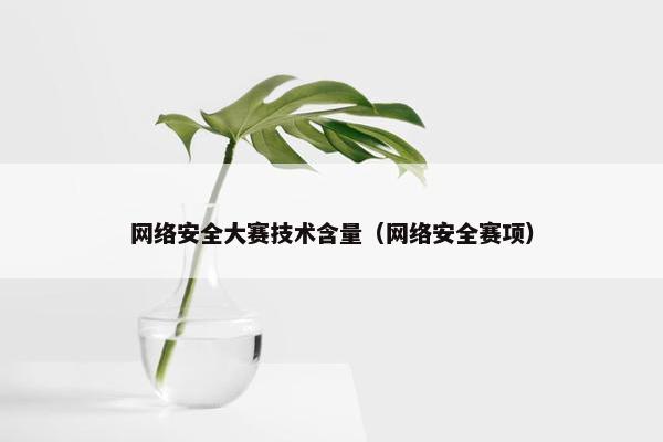 网络安全大赛技术含量（网络安全赛项）