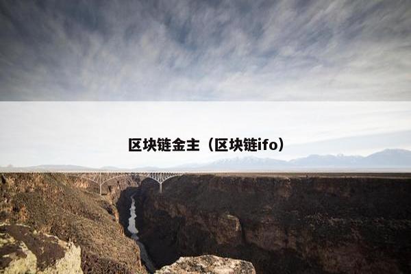 区块链金主（区块链ifo）