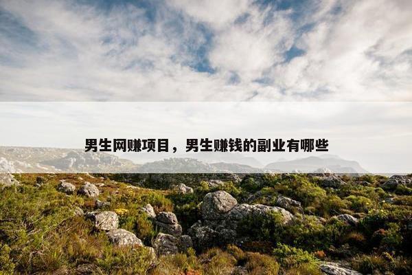 男生网赚项目，男生赚钱的副业有哪些