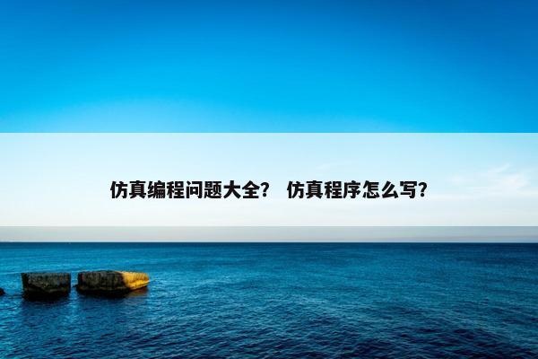 仿真编程问题大全？ 仿真程序怎么写？