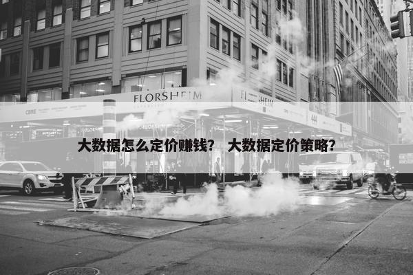 大数据怎么定价赚钱？ 大数据定价策略？