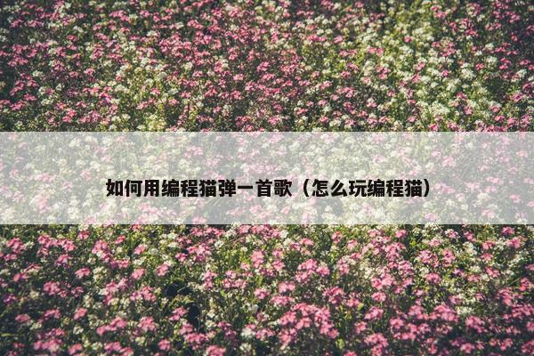 如何用编程猫弹一首歌（怎么玩编程猫）