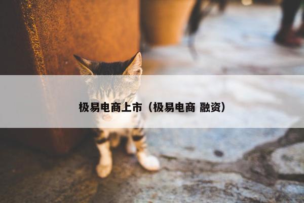 极易电商上市（极易电商 融资）