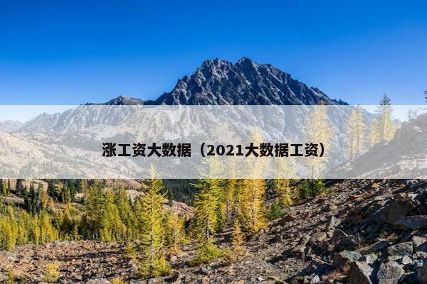 涨工资大数据（2021大数据工资）
