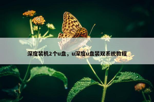 深度装机2个u盘，u深度u盘装双系统教程