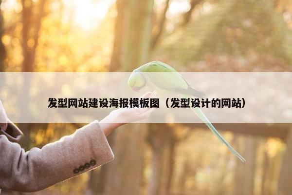 发型网站建设海报模板图（发型设计的网站）