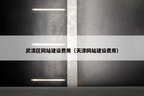 武清区网站建设费用（天津网站建设费用）