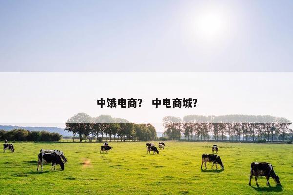 中饿电商？ 中电商城？