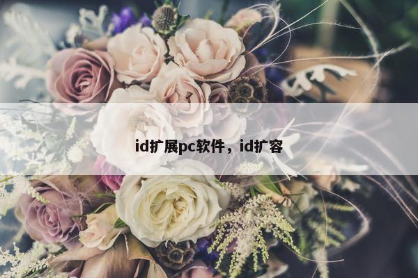 id扩展pc软件，id扩容