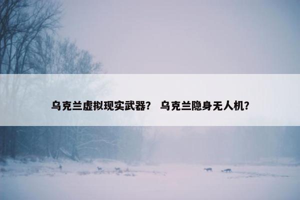 乌克兰虚拟现实武器？ 乌克兰隐身无人机？