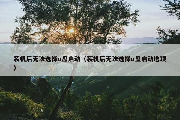 装机后无法选择u盘启动（装机后无法选择u盘启动选项）