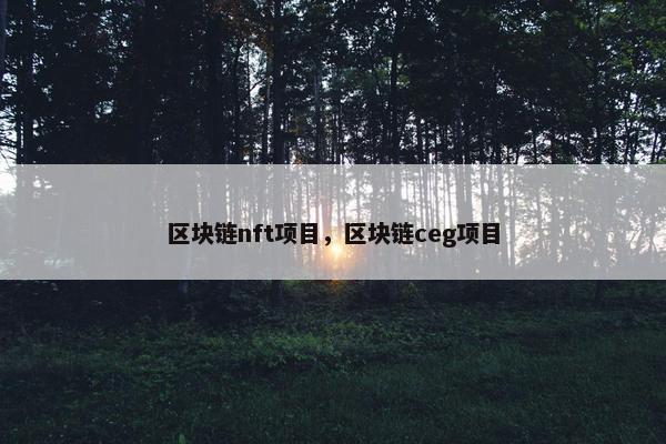 区块链nft项目，区块链ceg项目