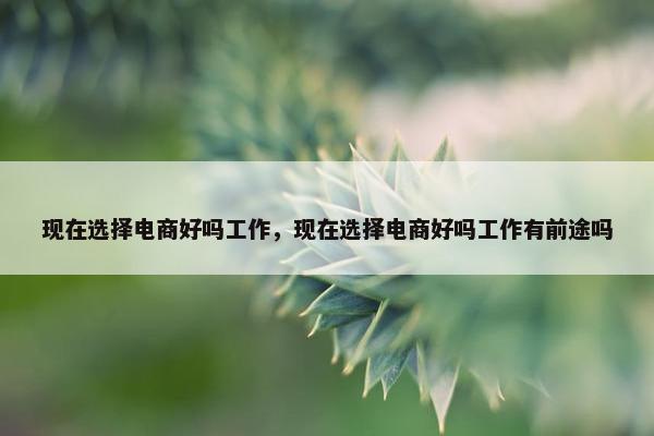 现在选择电商好吗工作，现在选择电商好吗工作有前途吗