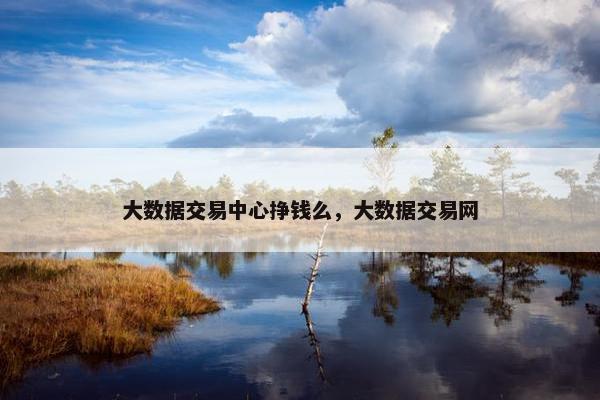 大数据交易中心挣钱么，大数据交易网
