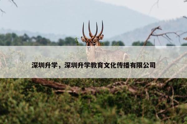 深圳升学，深圳升学教育文化传播有限公司