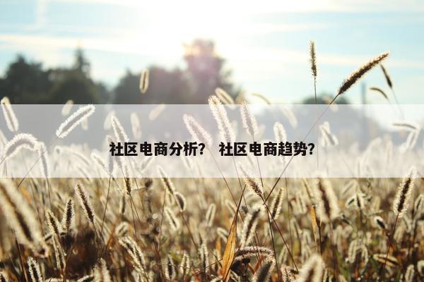 社区电商分析？ 社区电商趋势？