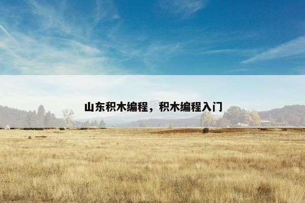 山东积木编程，积木编程入门