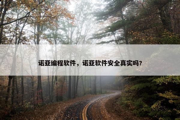 诺亚编程软件，诺亚软件安全真实吗?