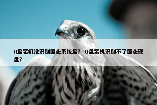 u盘装机没识别固态系统盘？ u盘装机识别不了固态硬盘？